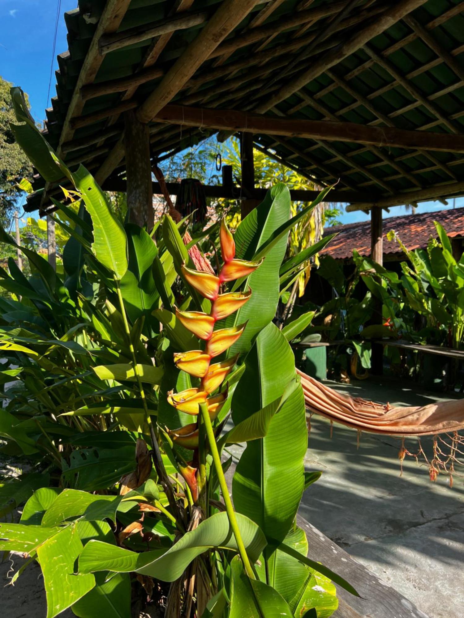 Pousada Morere Barra  Exterior photo